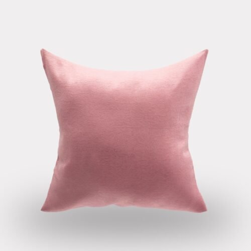 Decorative Throw Pillow