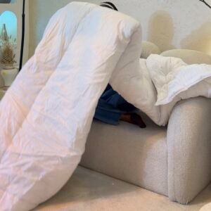 Duvet Insert